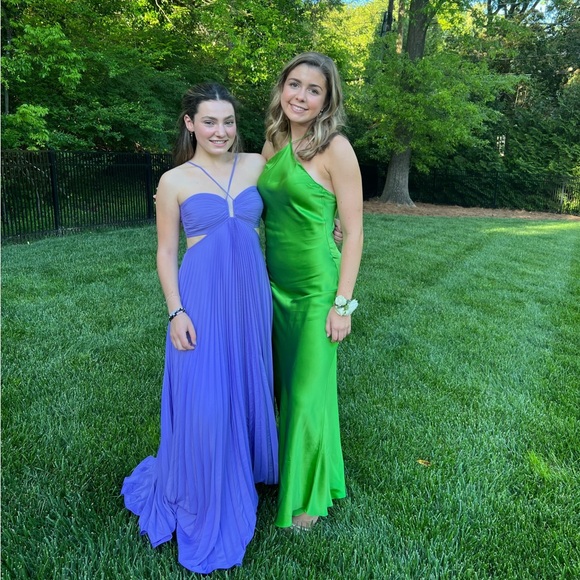 DANNIJO Kelly Green Halter Maxi Dress - Picture 6 of 8